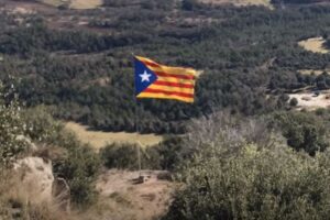 estelada lluça
